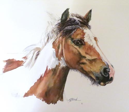 Horse head by Louiseportraits - Use the 'Create Similar' button to commission an artist to create your own artwork.