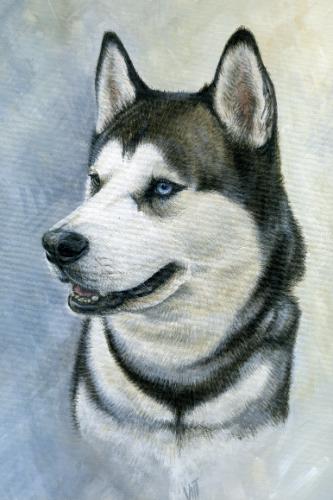 Max Siberian Husky by Vicky - Use the 'Create Similar' button to commission an artist to create your own artwork.