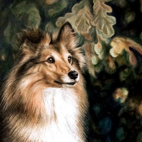 Artwork Sheltie