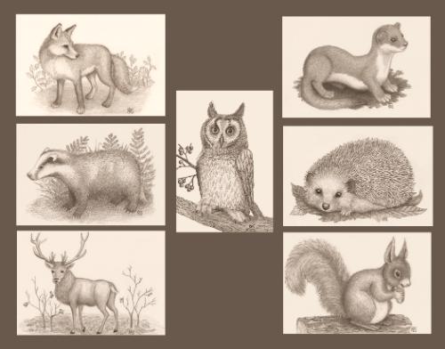 7 animal drawings for Wedding Table centerpieces by Kes - Use the 'Create Similar' button to commission an artist to create your own artwork.