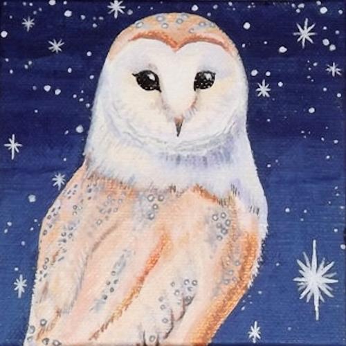 Barn Owl and starlight by Kes - Use the 'Create Similar' button to commission an artist to create your own artwork.