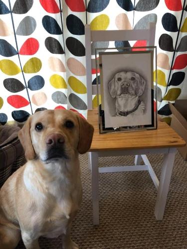 Ted by Christine - Use the 'Create Similar' button to commission an artist to create your own artwork.