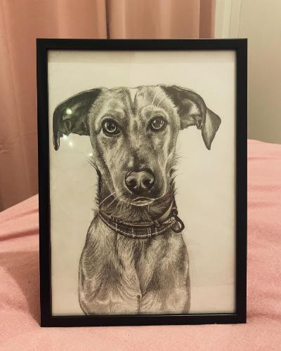 Bongo by Christine - Use the 'Create Similar' button to commission an artist to create your own artwork.