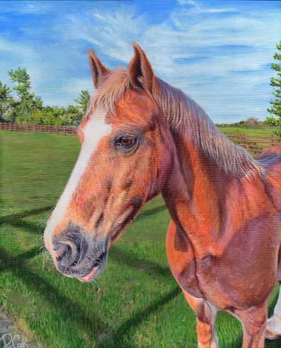 Artwork Study of a horse