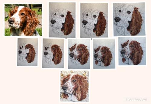 Springer Spaniel Needle Felt portrait by KarenP - Use the 'Create Similar' button to commission an artist to create your own artwork.