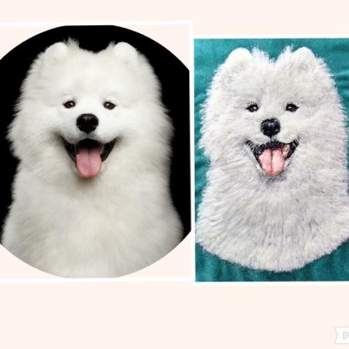 Samoyed Puppy wool art cushion by KarenP - Use the 'Create Similar' button to commission an artist to create your own artwork.