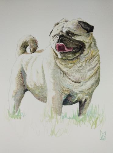 Artwork Pet Watercolour Portrait