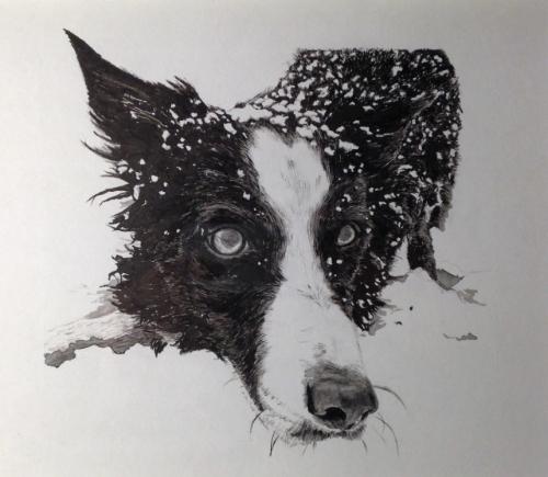 Artwork Pet India Ink Portrait Example