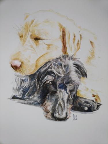 Pet portrait Watercolour example by LeeM - Use the 'Create Similar' button to commission an artist to create your own artwork.