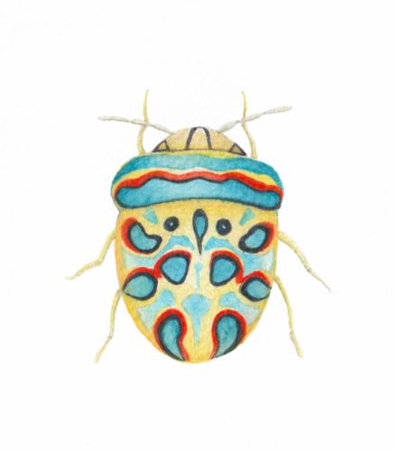 Picasso Bug by KatieArt - Use the 'Create Similar' button to commission an artist to create your own artwork.