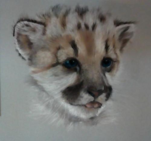 Mountain Lion Cub by Laine - Use the 'Create Similar' button to commission an artist to create your own artwork.