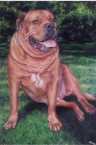 Portrait of a dog called Jethro by Toria - Use the 'Create Similar' button to commission an artist to create your own artwork.