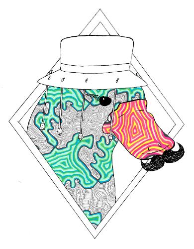 Artwork Patterned Platypus